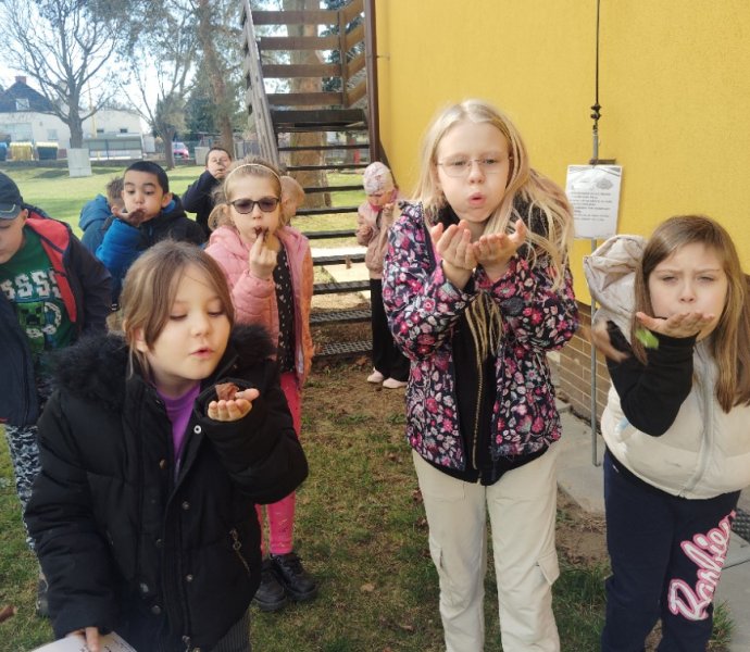 Obrázek galerie  30874