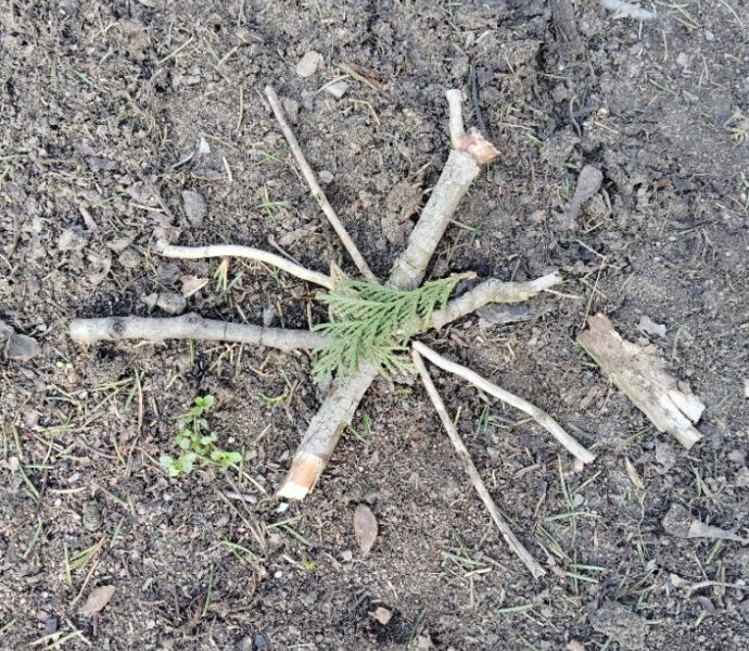 Obrázek galerie  30881