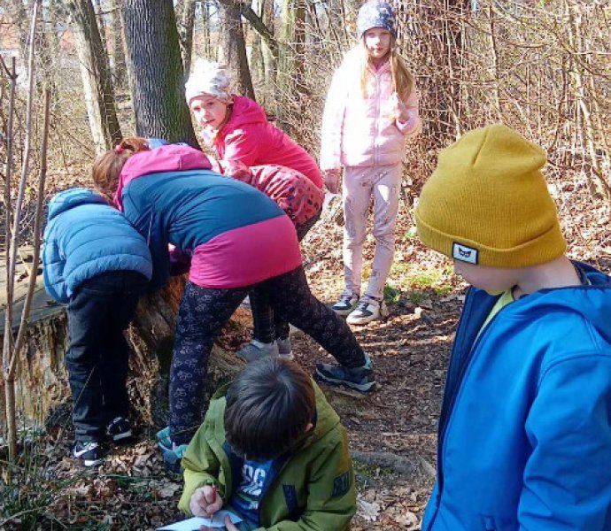 Obrázek galerie  30902