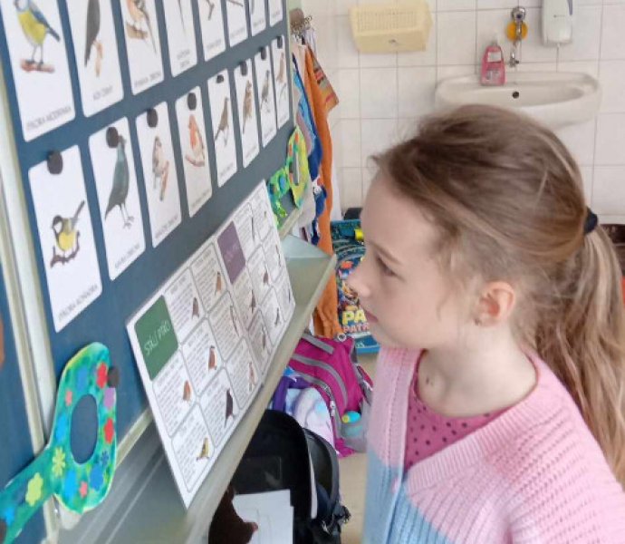 Obrázek galerie  30904