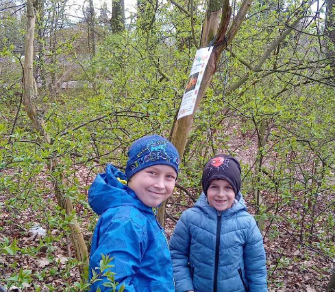 Obrázek galerie  30977