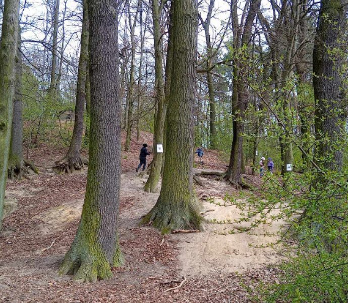 Obrázek galerie  30987