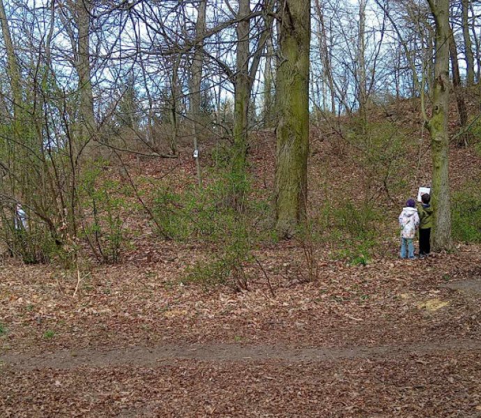 Obrázek galerie  31001