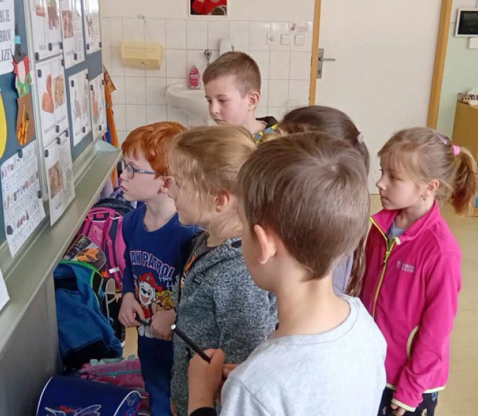 Obrázek galerie  31068