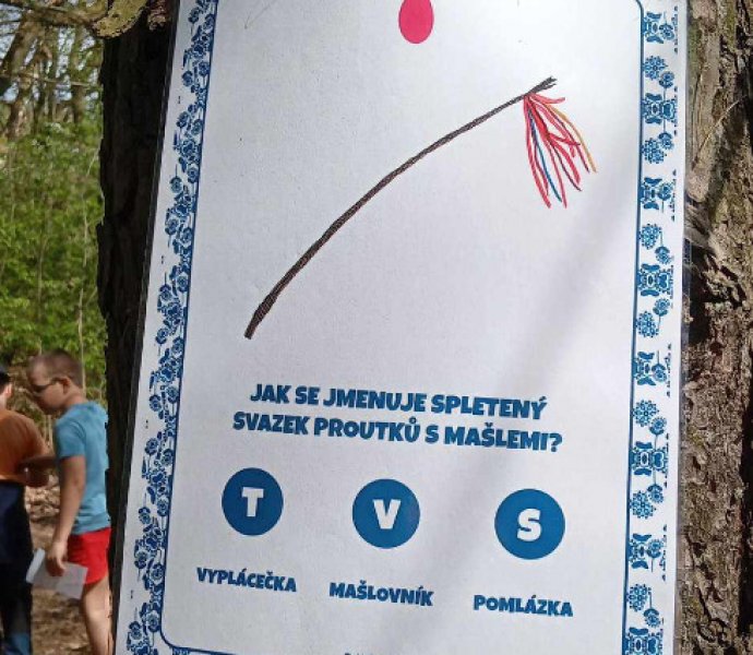 Obrázek galerie  31080