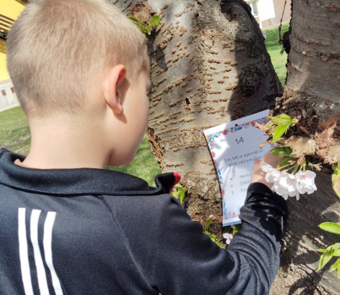 Obrázek galerie  31099