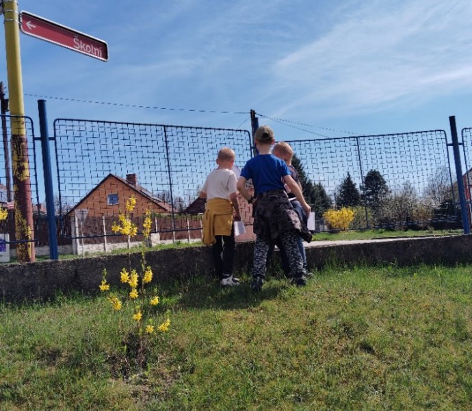 Obrázek galerie  31103