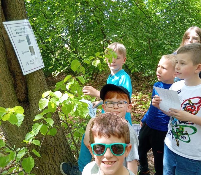 Obrázek galerie  31232