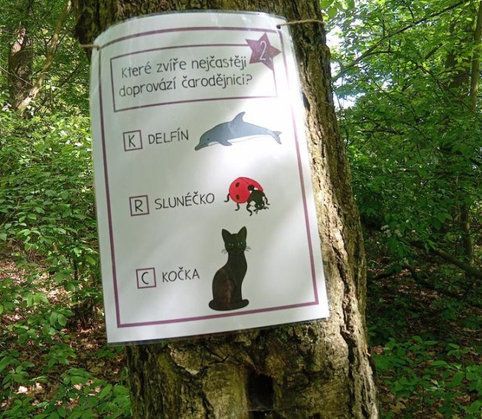 Obrázek galerie  31239