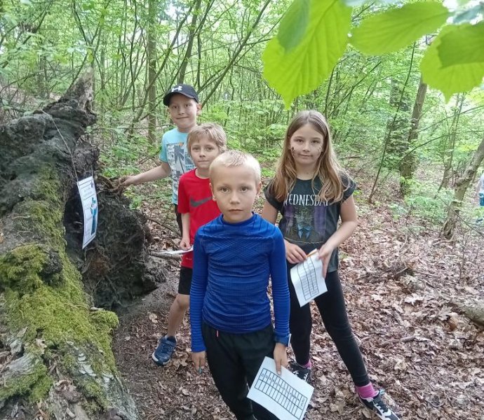 Obrázek galerie  31242