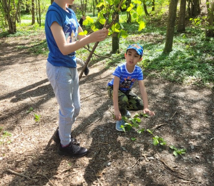 Obrázek galerie  31287