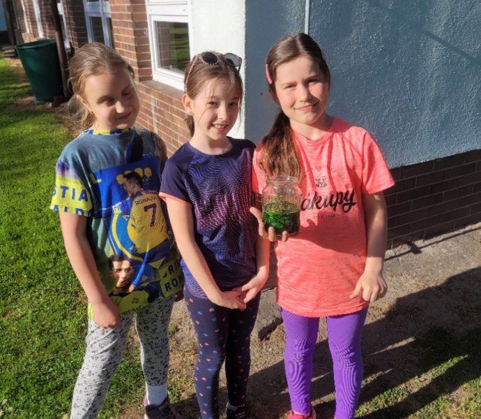 Obrázek galerie  31303