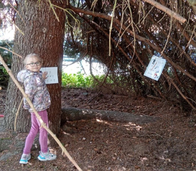 Obrázek galerie  31405