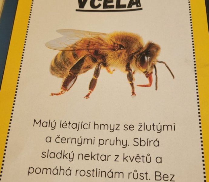 Obrázek galerie  31469