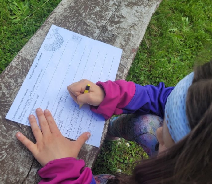 Obrázek galerie  31627