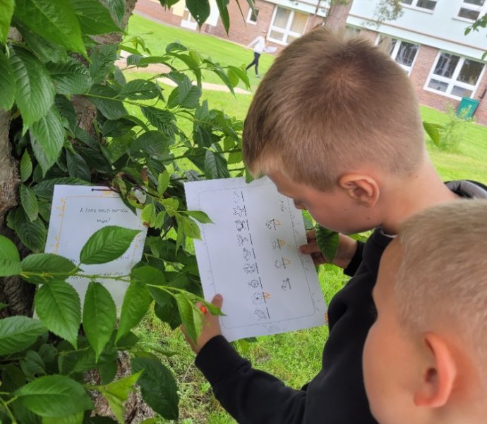 Obrázek galerie  31667