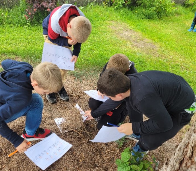 Obrázek galerie  31670