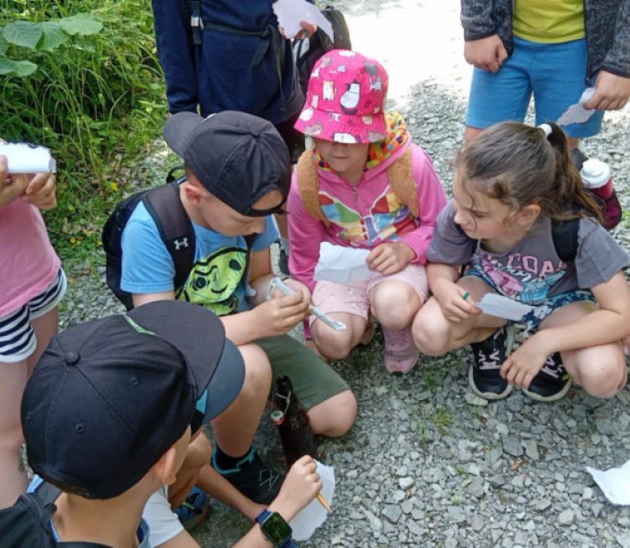 Obrázek galerie  31801