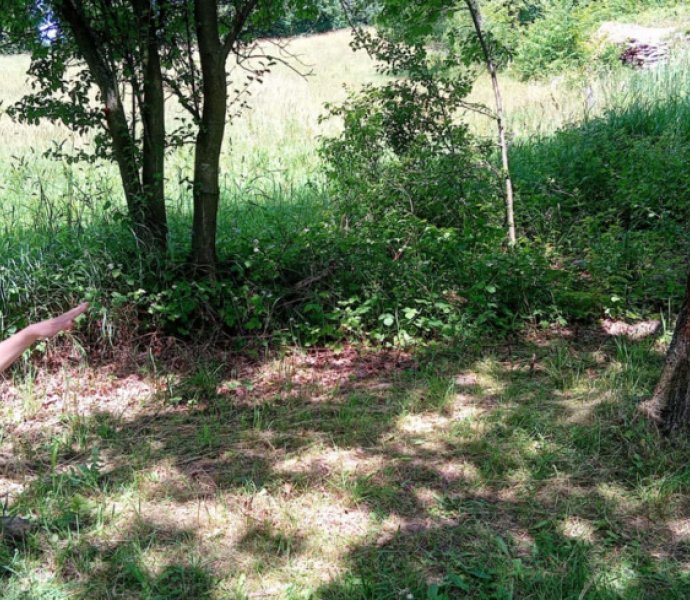 Obrázek galerie  31811