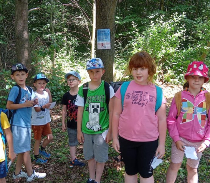 Obrázek galerie  31817