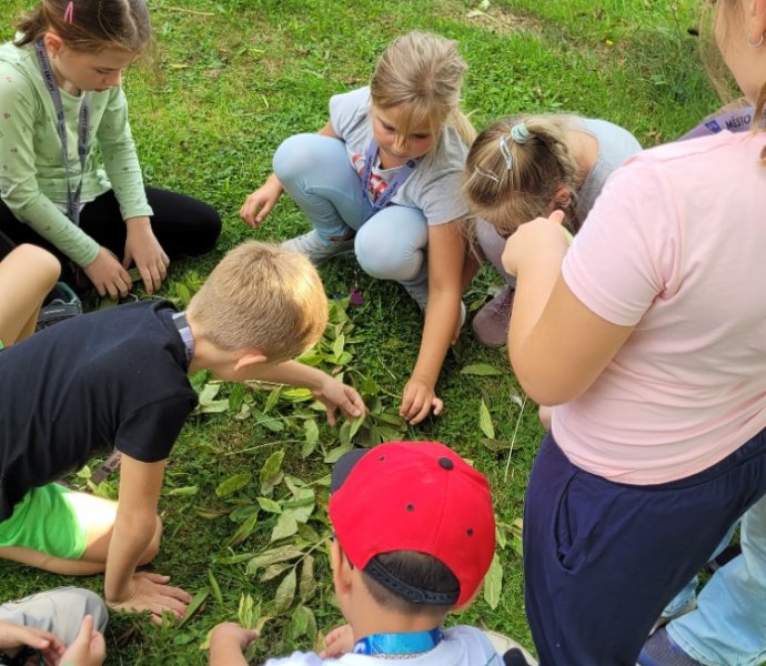 Obrázek galerie  31999