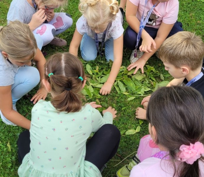 Obrázek galerie  32000