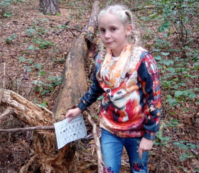 Obrázek galerie  32071