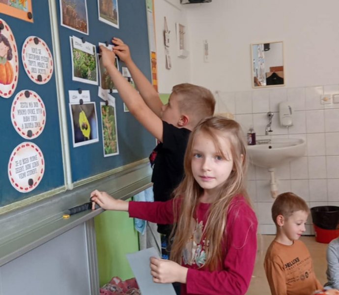 Obrázek galerie  32080