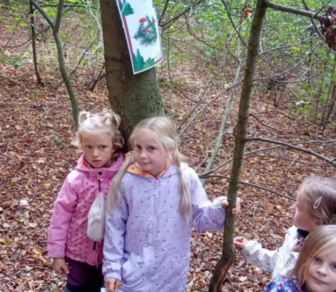 Obrázek galerie  32087