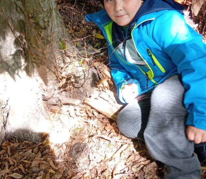 Obrázek galerie  32095