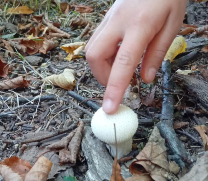 Obrázek galerie  32096