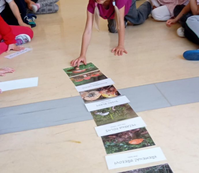 Obrázek galerie  32103