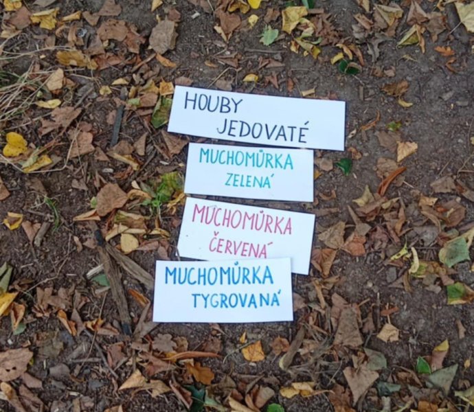 Obrázek galerie  32104