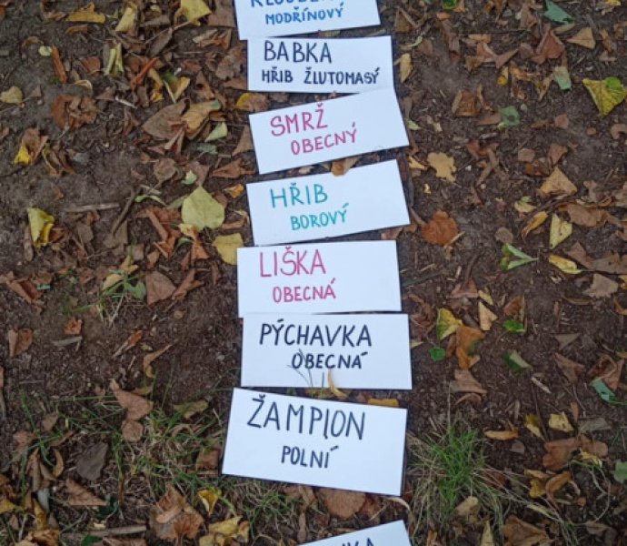 Obrázek galerie  32105