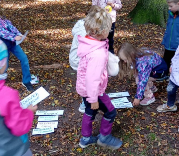 Obrázek galerie  32106