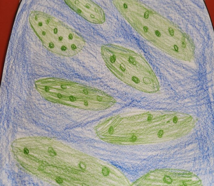 Obrázek galerie  32231