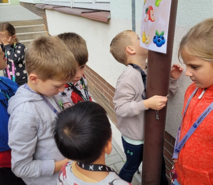 Obrázek galerie  32246