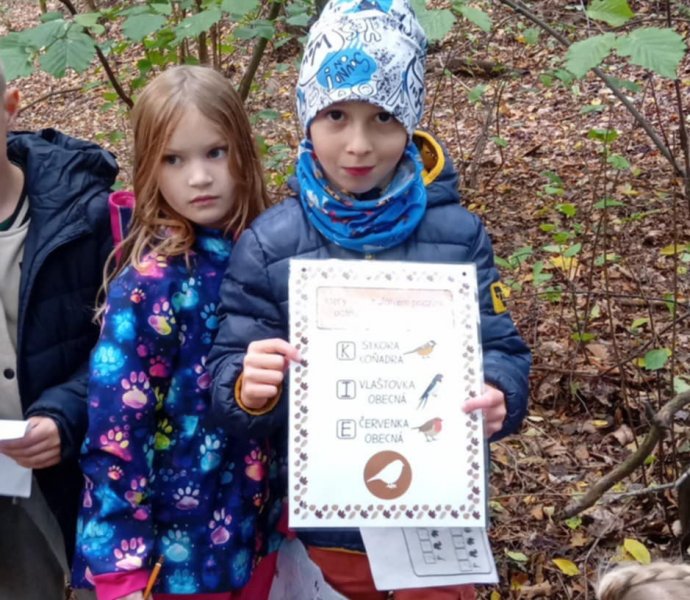 Obrázek galerie  32255