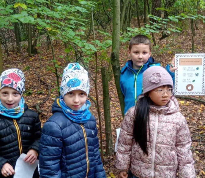 Obrázek galerie  32262