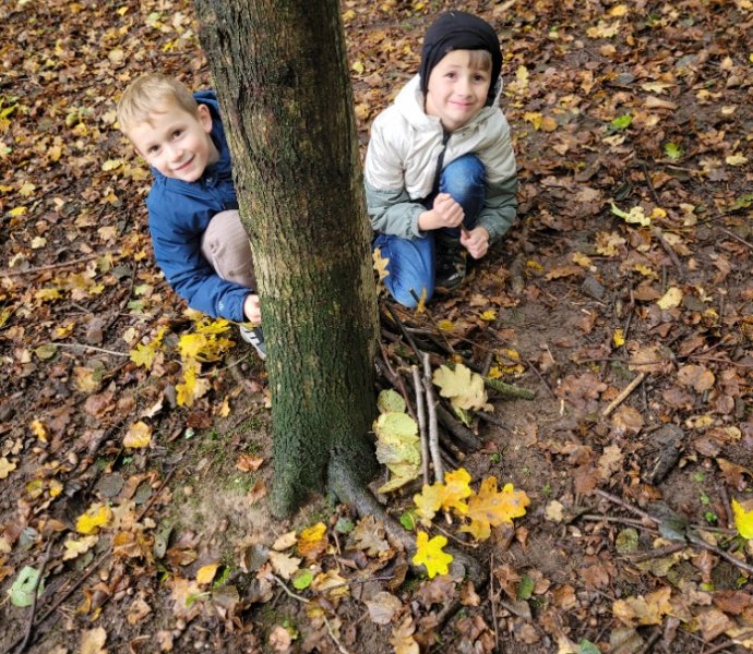 Obrázek galerie  32317