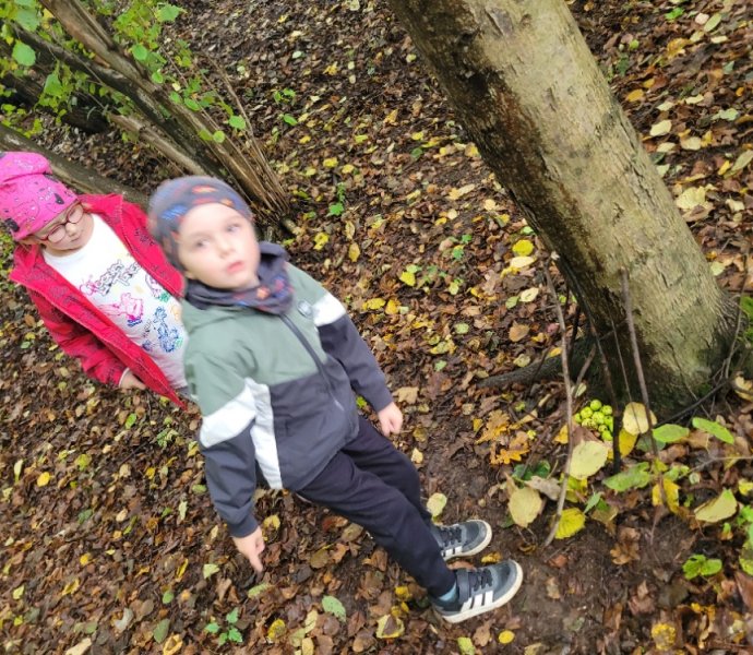 Obrázek galerie  32319