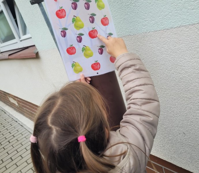 Obrázek galerie  32329