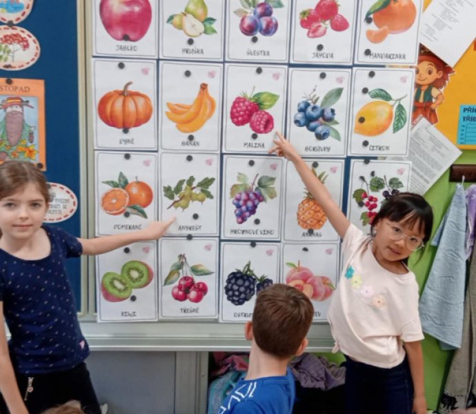 Obrázek galerie  32484