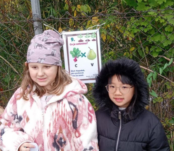 Obrázek galerie  32494