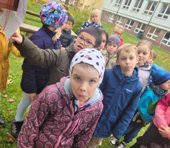 Obrázek galerie  32544