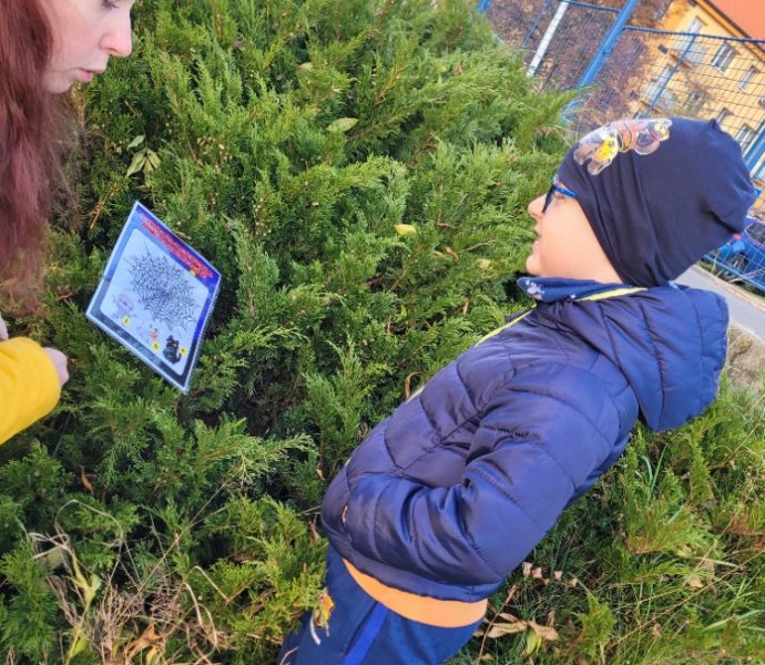 Obrázek galerie  32590