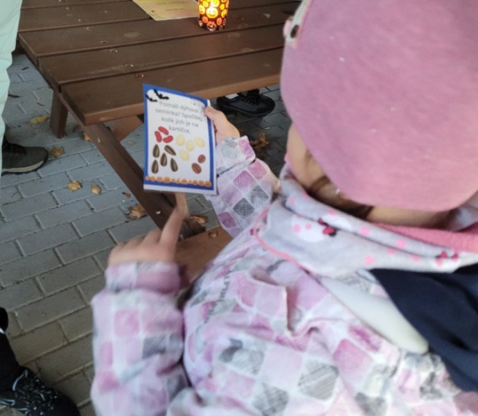 Obrázek galerie  32607