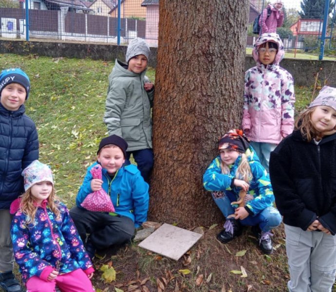 Obrázek galerie  32652