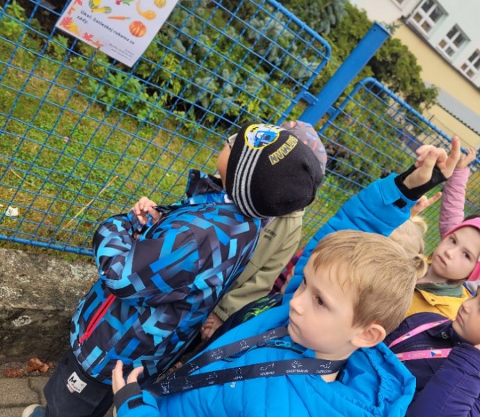 Obrázek galerie  32706