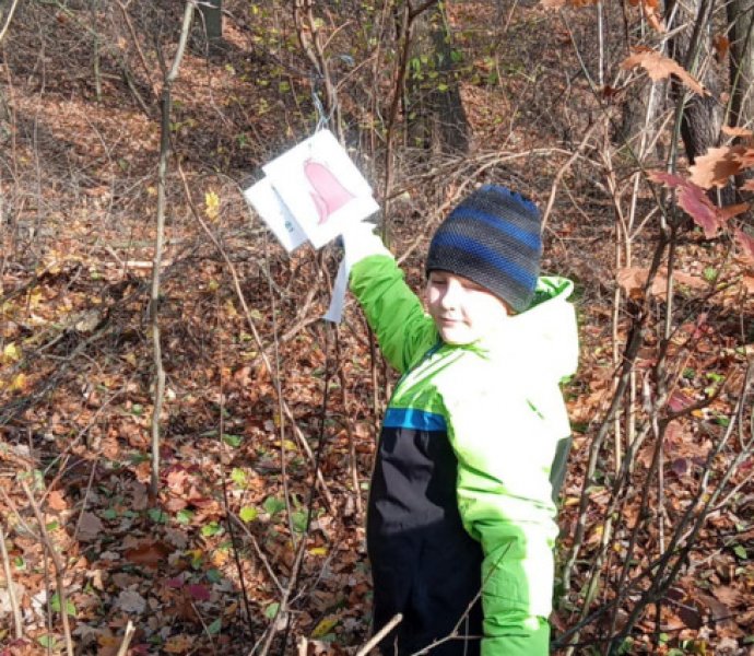 Obrázek galerie  32798